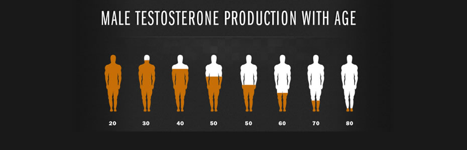 Male Testosterone Levels